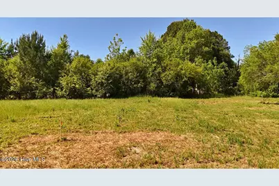 0 Old Chinquapin Road, Beulaville, NC 28518 - Photo 23