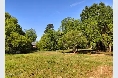 0 Old Chinquapin Road, Beulaville, NC 28518 - Photo 21