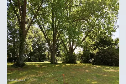 0 Old Chinquapin Road, Beulaville, NC 28518 - Photo 25