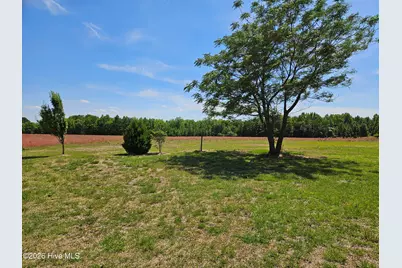 159 Batchelor Farm Lane, Kenansville, NC 28349 - Photo 3