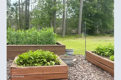 223 Bailey Pointe Drive, Belhaven, NC 27810 - Photo 41