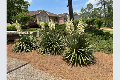 15 Shenecossett Lane, Pinehurst, NC 28374 - Photo 29