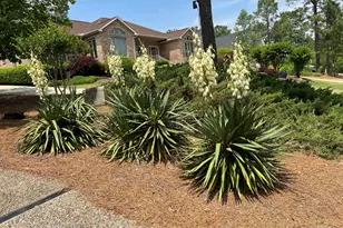 15 Shenecossett Ln, Pinehurst, NC 28374 - Photo 29