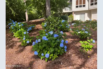 15 Shenecossett Lane, Pinehurst, NC 28374 - Photo 39