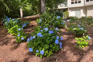 15 Shenecossett Ln, Pinehurst, NC 28374 - Photo 39