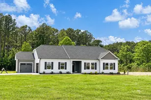40 Little Sampson Dr, Princeton, NC 27569 - Photo 1