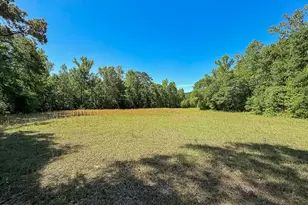 6375 Swanns Station Rd, Sanford, NC 27332 - Photo 119