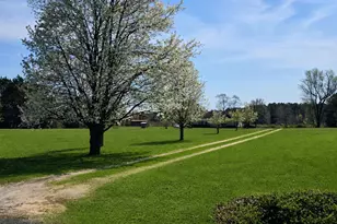 348 Dowd Dairy Rd, White Oak, NC 28399 - Photo 17