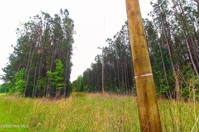 000 Macon-Embro Road, Macon, NC 27551 - Photo 21