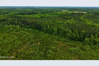 000 Macon-Embro Road, Macon, NC 27551 - Photo 9