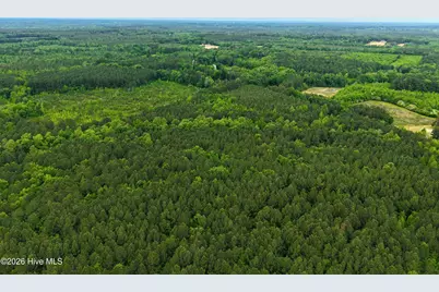 000 Macon-Embro Road, Macon, NC 27551 - Photo 17