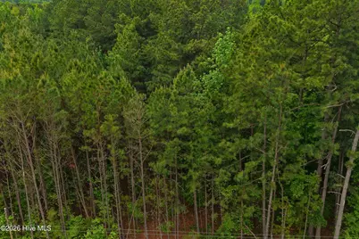 000 Macon-Embro Road, Macon, NC 27551 - Photo 19