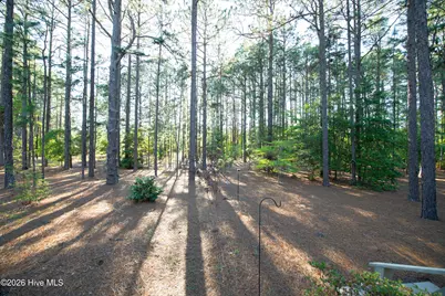 11 Scots Glen Drive, Southern Pines, NC 28387 - Photo 59