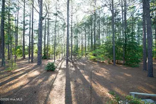 11 Scots Glen Dr, Southern Pines, NC 28387 - Photo 59