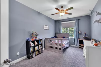 223 Royal Tern Drive, Sneads Ferry, NC 28460 - Photo 15