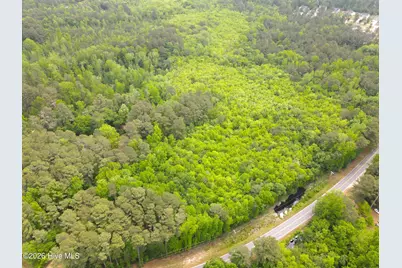 Tbd Murdocksville Road, West End, NC 27376 - Photo 5