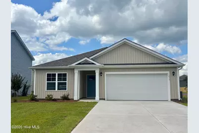 1033 Pampas Grass Drive #Lot 317, Castle Hayne, NC 28429 - Photo 1