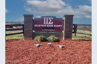 2727 Lower Moncure Road, Sanford, NC 27330 - Photo 3