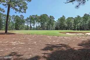 55 Palmetto Rd, Pinehurst, NC 28374 - Photo 7