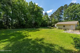 160 Gail Rd, Willard, NC 28478 - Photo 37