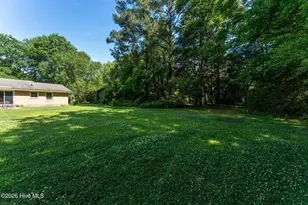 160 Gail Rd, Willard, NC 28478 - Photo 35