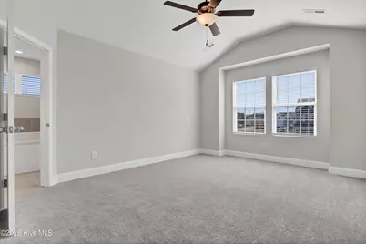 203 E Red Head Circle, Sneads Ferry, NC 28460 - Photo 19