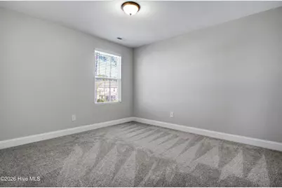 203 E Red Head Circle, Sneads Ferry, NC 28460 - Photo 29