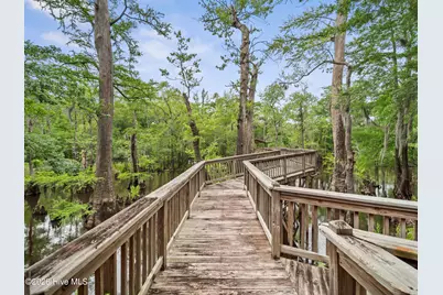 221 Estate Road, Atkinson, NC 28421 - Photo 69