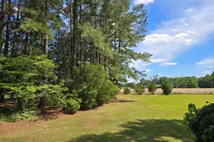 1140 Tart Rd, Clarkton, NC 28433 - Photo 19