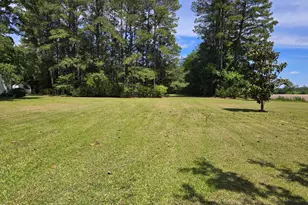 1140 Tart Rd, Clarkton, NC 28433 - Photo 21