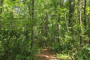 1140 Tart Rd, Clarkton, NC 28433 - Photo 25