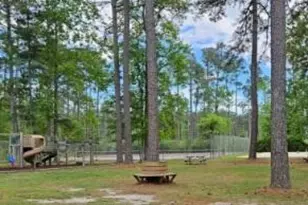 144 Secretariat Dr, Havelock, NC 28532 - Photo 43