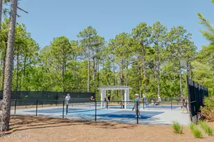 4410 Indigo Slate Way, Wilmington, NC 28412 - Photo 41