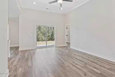 146 S Umbrella Palm Drive, Hampstead, NC 28443 - Photo 3
