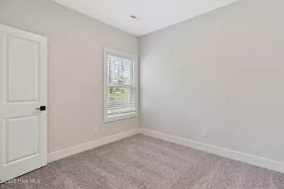 146 S Umbrella Palm Drive, Hampstead, NC 28443 - Photo 13
