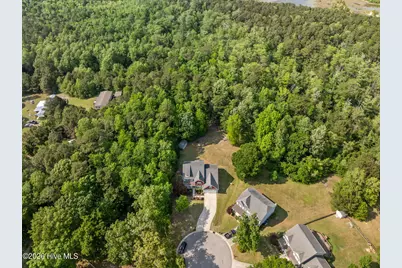 167 Old Millstone Lane, Sneads Ferry, NC 28460 - Photo 53