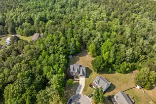 167 Old Millstone Ln, Sneads Ferry, NC 28460 - Photo 53