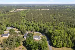 103 Ellis Ct, Vanceboro, NC 28586 - Photo 51