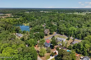 3901 Marathon Ave, Castle Hayne, NC 28429 - Photo 53