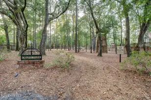 533 Dungannon Blvd, Wilmington, NC 28403 - Photo 89