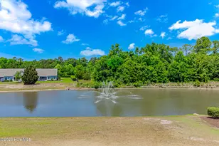 420 St.Julian Ln, Myrtle Beach, SC 29579 - Photo 33