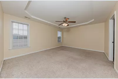 383 Francktown Road, Richlands, NC 28574 - Photo 17