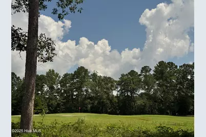 663 Loblolly Drive, Vass, NC 28394 - Photo 31