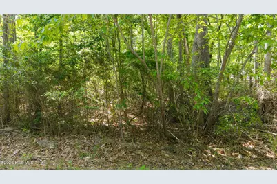 106 Shropshire Lane, Seven Lakes, NC 27376 - Photo 3