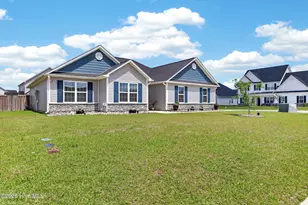 372 Water Wagon Trl, Jacksonville, NC 28546 - Photo 3