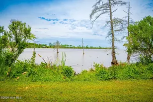 577 Davenport Rd, Columbia, NC 27925 - Photo 61