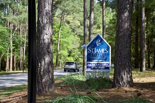 2738 Oak Forest Dr, Southport, NC 28461 - Photo 101