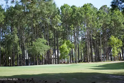 2738 Oak Forest Drive, Southport, NC 28461 - Photo 103