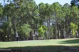2738 Oak Forest Dr, Southport, NC 28461 - Photo 103