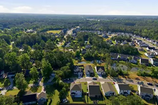 130 Plumtree Ln, Castle Hayne, NC 28429 - Photo 45